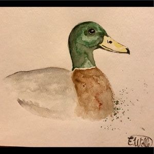 Original watercolor mallard duck painting